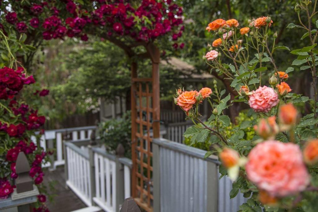 Forfriends Inn Wine Country Bed And Breakfast Santa Ynez Extérieur photo
