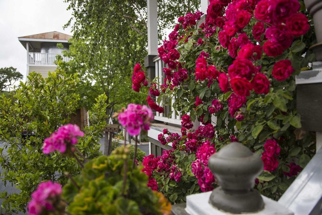 Forfriends Inn Wine Country Bed And Breakfast Santa Ynez Extérieur photo